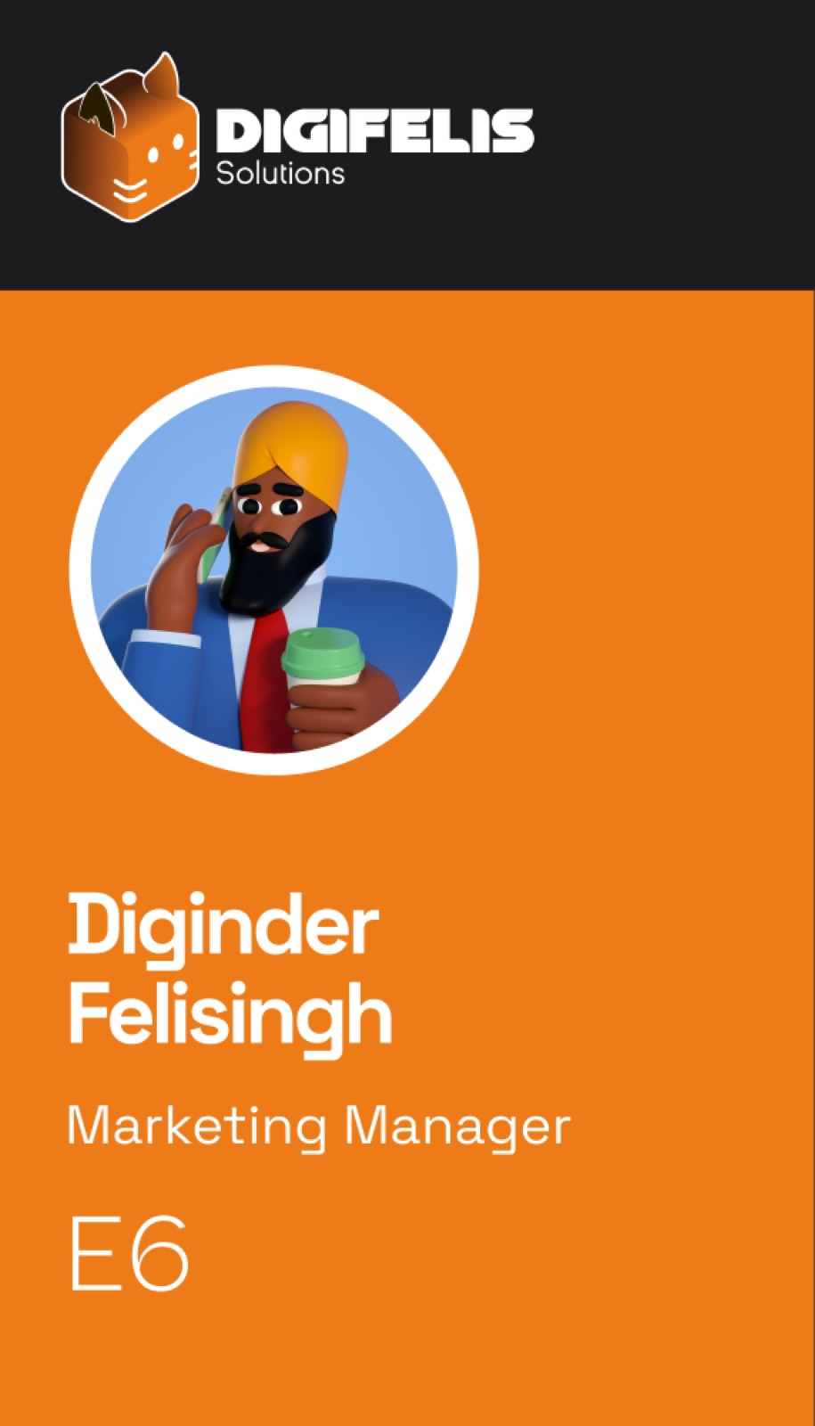Digifelis corporate ID design specification with sample photo and details