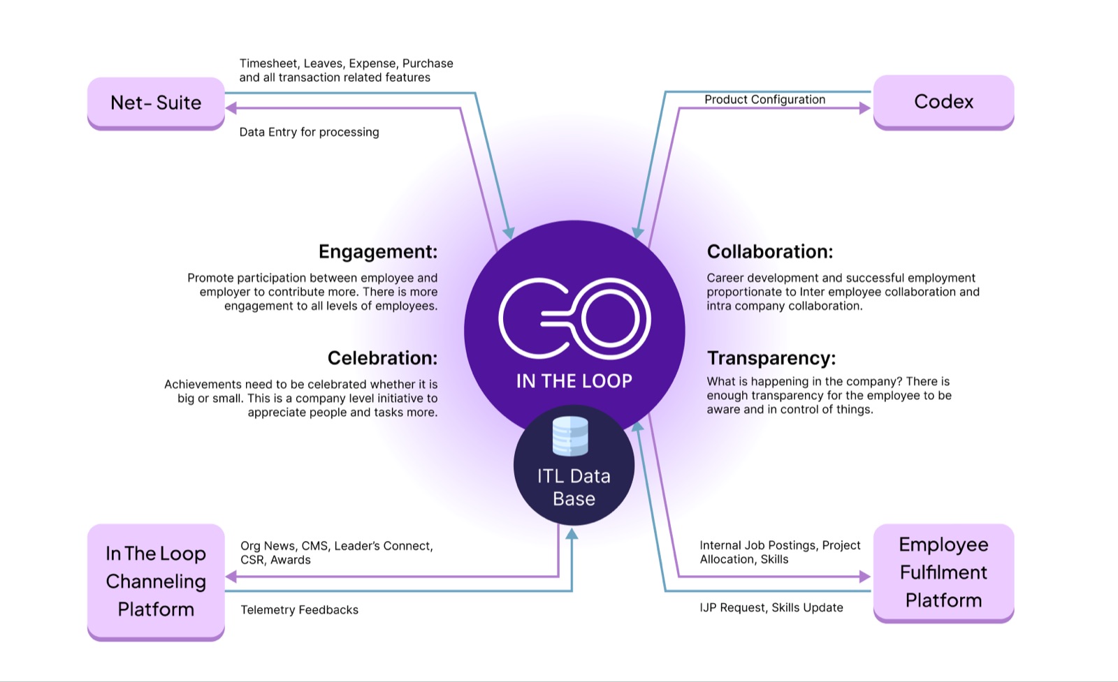 Diagram of the In The Loop platform sitting between Net-Suite, Codex and the ITL database